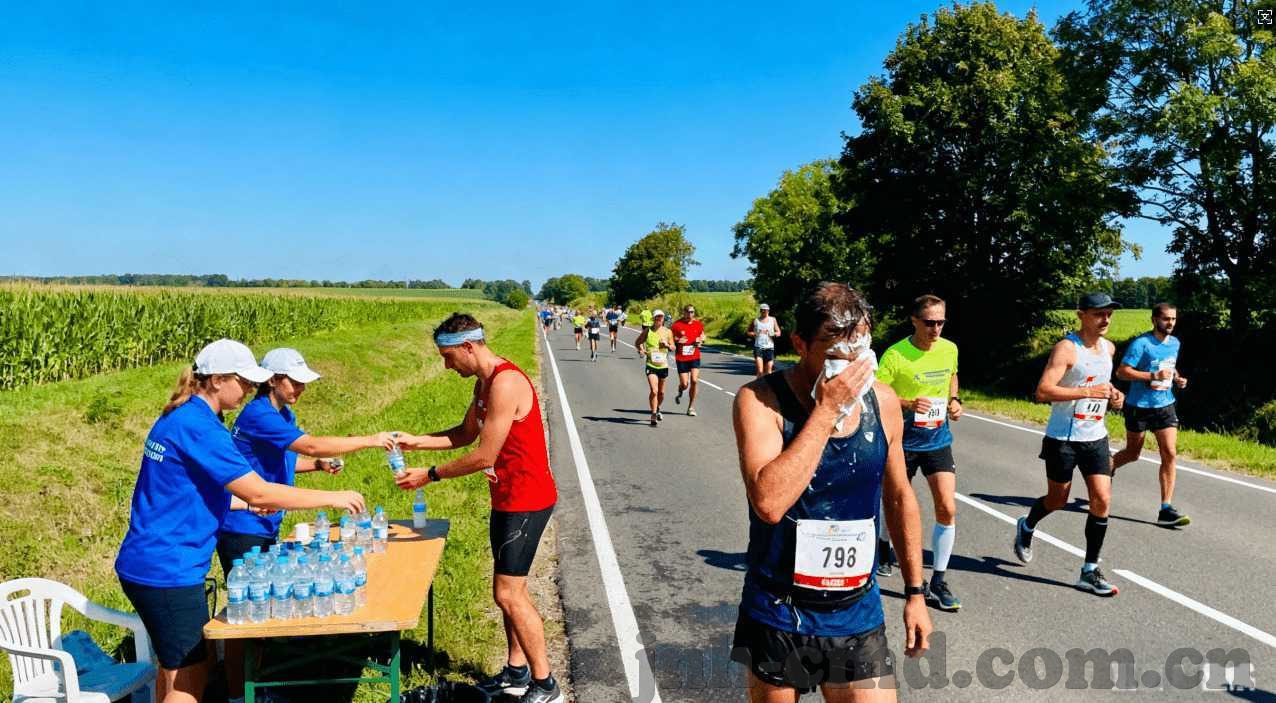 世界杯四强冠军预测-世界杯四强冠军预测，足球盛宴的巅峰对决