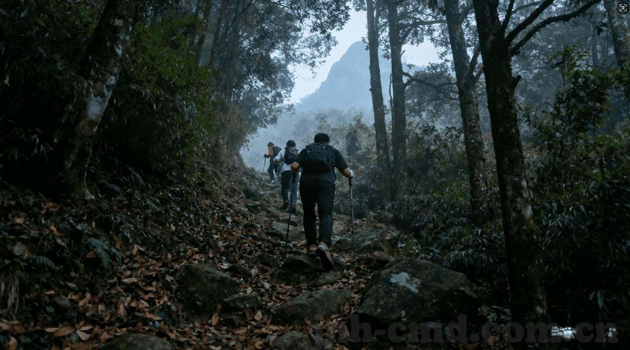 世界杯投注软件app-世界杯投注软件app，便捷体验与理性投注的平衡