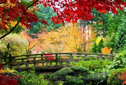 伊拉克对日本足球比分-伊拉克与日本足球对决，比分背后的战术博弈与亚洲足球格局变迁
